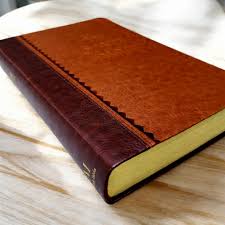 Biblia Reina Valera 1960 – 066 – Con Concordancia – Letra 11 pts – 15x22 cm – Café - Canto dorado