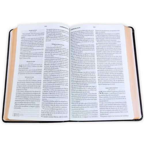 Biblia Reina Valera 1960 – 066 – Con Concordancia – Letra 11 pts – 15x22 cm – Café - Canto dorado