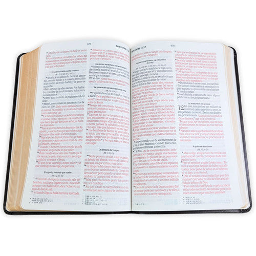 Biblia Reina Valera 1960 – 066 – Con Concordancia – Letra 11 pts – 15x22 cm – Café - Canto dorado