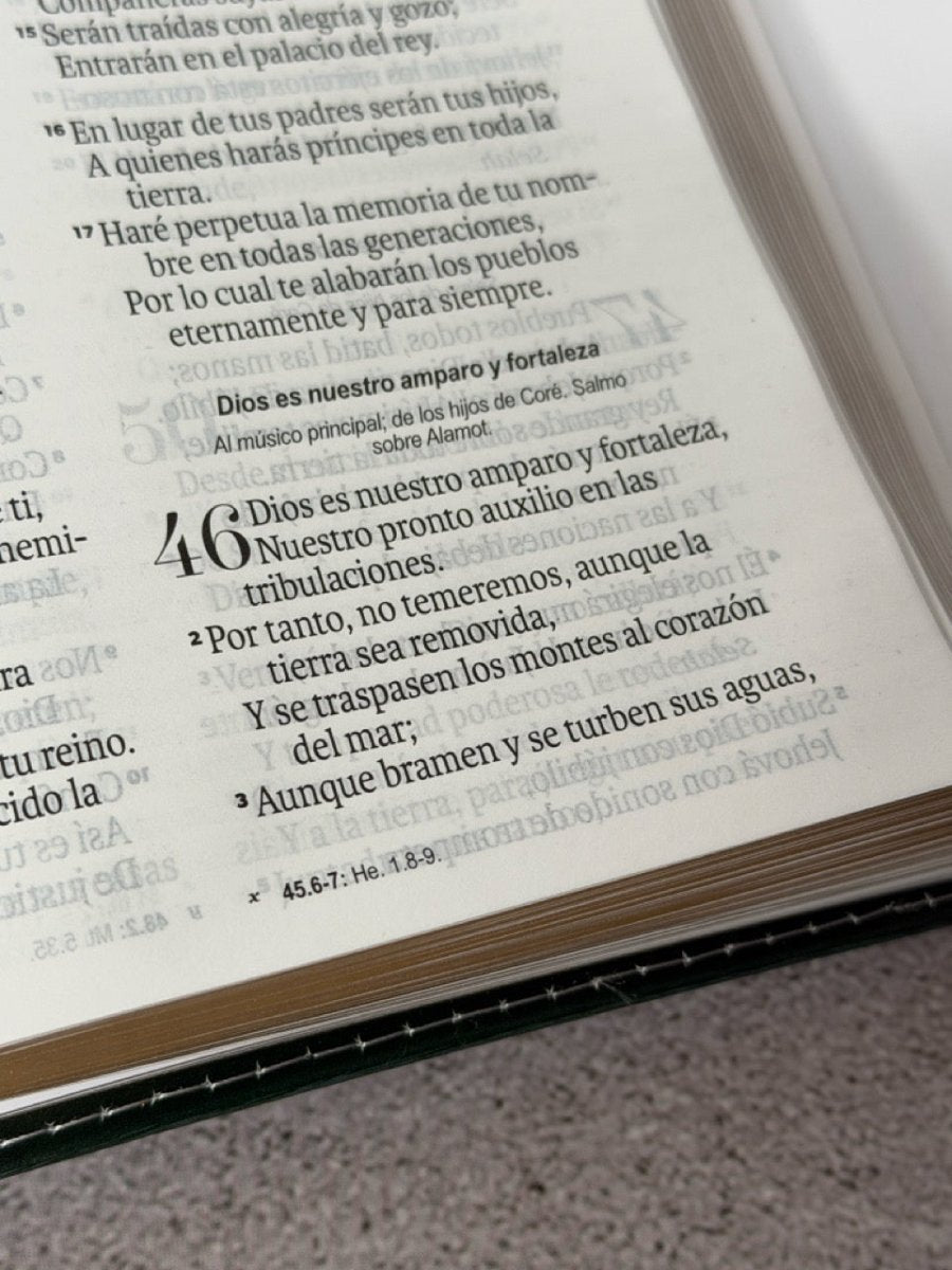 Biblia Reina Valera 1960 Exquisita – Con Concordancia – Letra 11 pts – 14x22 cm – Tapa PU – Impacto Floral – Con Manija y Broche