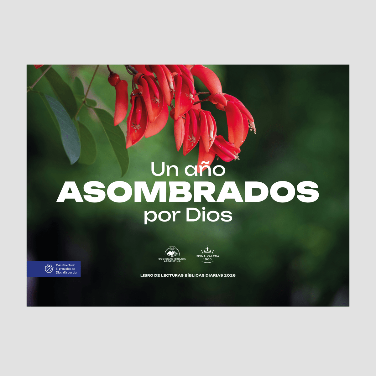 Calendario 2026 - Un Año de Buenas Noticias -  Flores