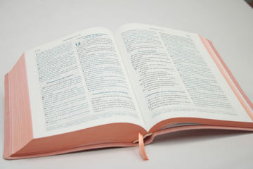 Biblia Reina Valera Contemporánea – 066 – Con Concordancia – Letra 10 pts – 13,5x21 cm – Palabras de Jesús en Rojo – Tapa PU Rosa