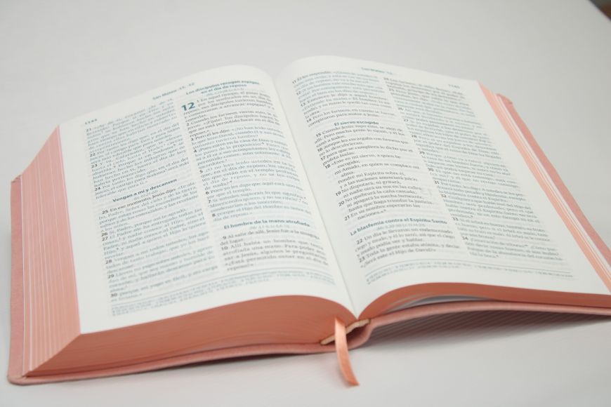 Biblia Reina Valera Contemporánea – 066 – Con Concordancia – Letra 10 pts – 13,5x21 cm – Palabras de Jesús en Rojo – Tapa PU Rosa