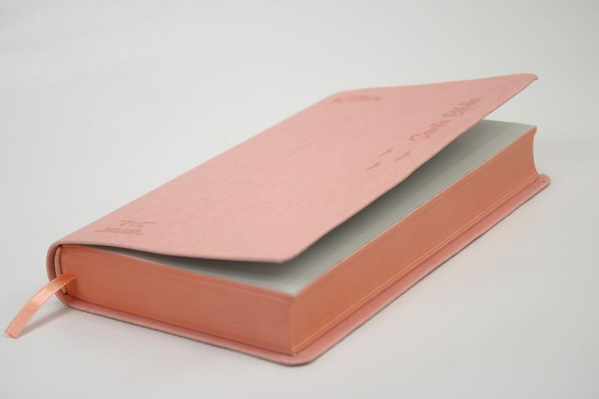 Biblia Reina Valera Contemporánea – 066 – Con Concordancia – Letra 10 pts – 13,5x21 cm – Palabras de Jesús en Rojo – Tapa PU Rosa