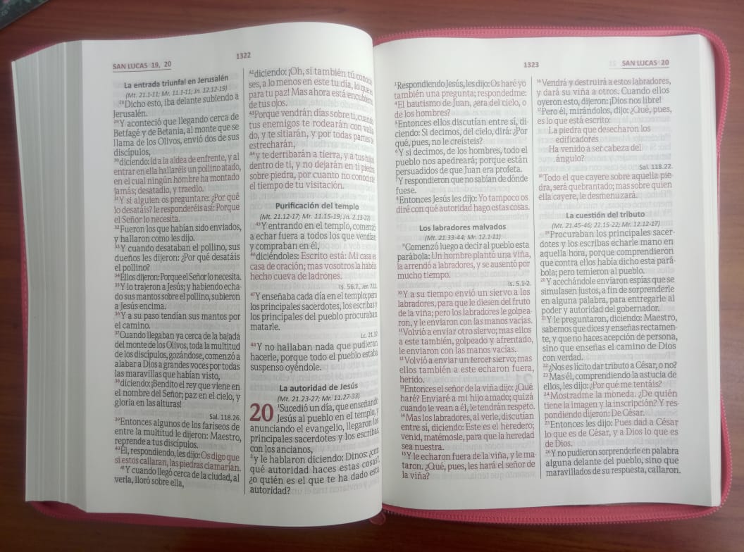 Biblia Reina Valera 1960 – 086 – Con Concordancia – Letra 12 pts – 17x23,5 cm – Palabras de Jesús en Rojo – Cierre – Tapa PU Naranja/Vino