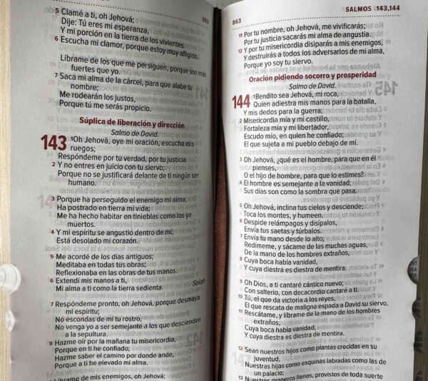 Biblia Reina Valera 1960 – 036 – Con Concordancia – Letra 8 pts – 8,5x16,5 cm – Palabras de Jesús en Rojo – Cierre con Índice – Tapa PU Marron