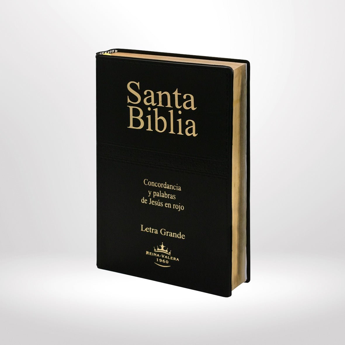 Biblia Reina Valera 1960 – Tapa Vinilo Negro, Concordancia, Palabras de Jesús en Rojo, 15 x 22 cm, Letra 12 Puntos