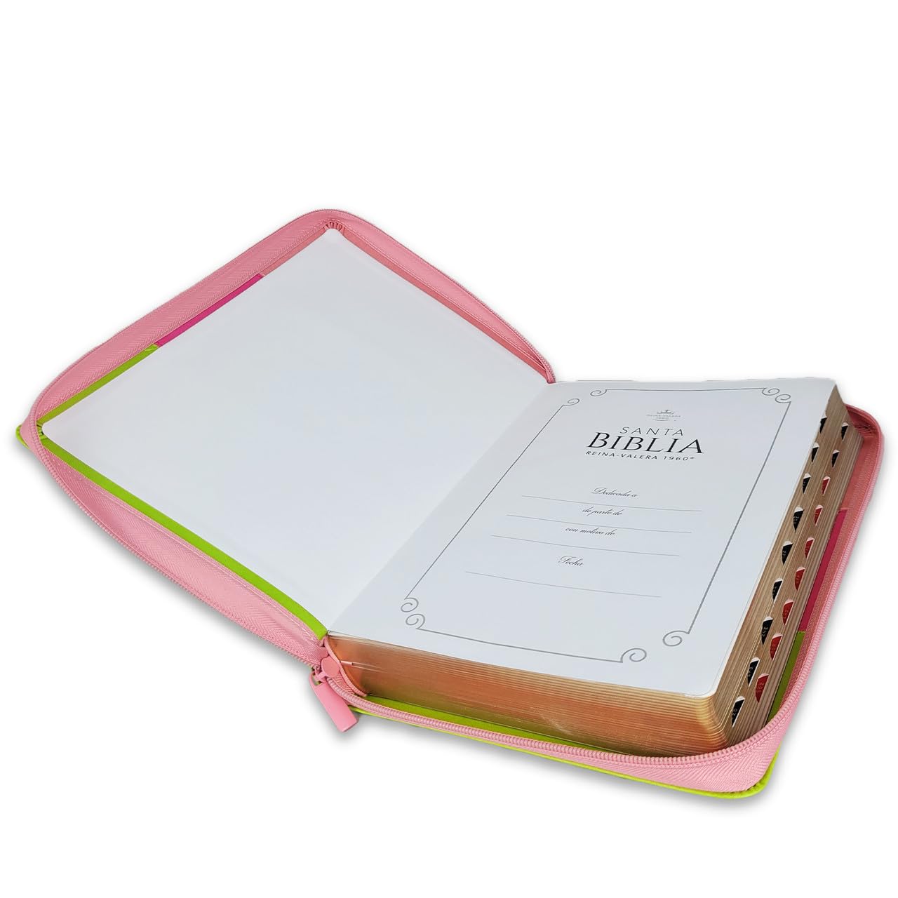 Biblia Reina Valera 1960 – 085 – Con Concordancia – Letra 14 pts – 14x21 cm – Cierre con Índice – Rosa/Fucsia/Lima