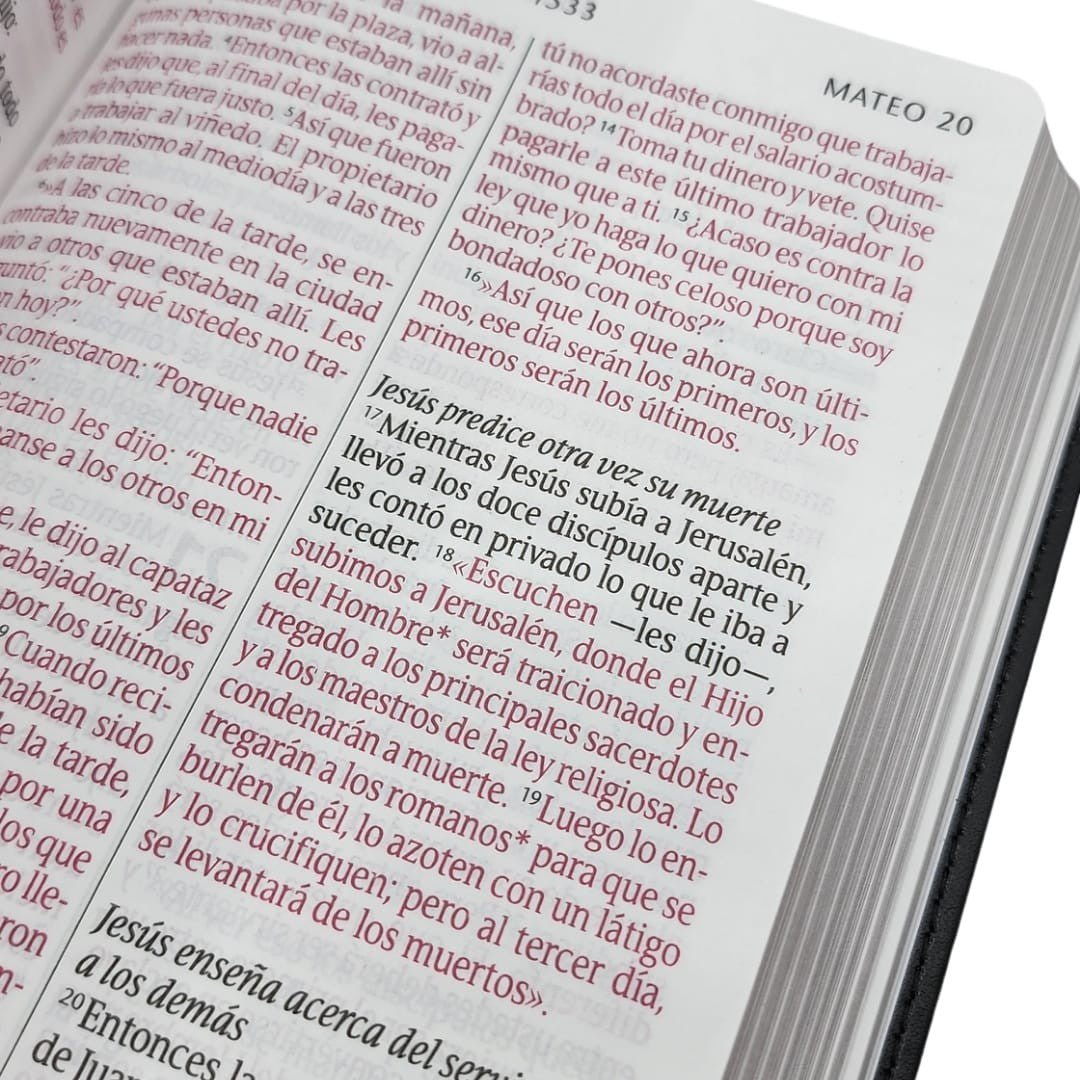 Biblia Nueva Traducción Viviente – Tapa Imitación Piel Negro, Letra 12pt, 14x21 cm