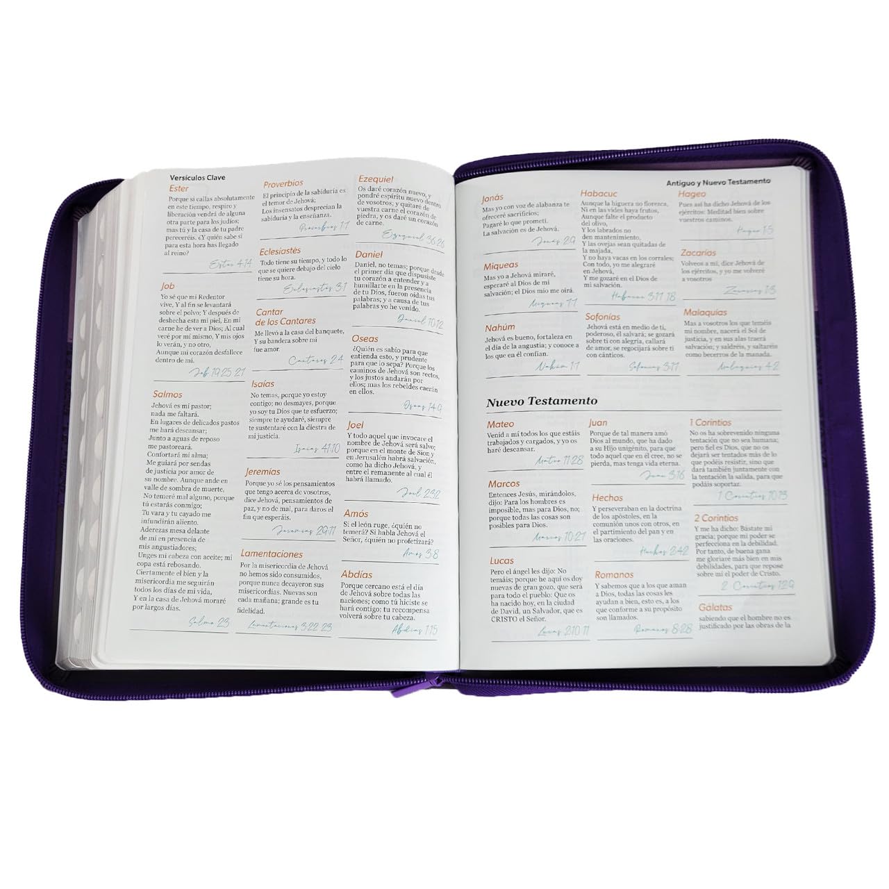 Biblia Reina Valera 1960 – 085 – Con Concordancia – Letra 15 pts – 17x25 cm – Cierre con Índice – Lila/Morado/Negro