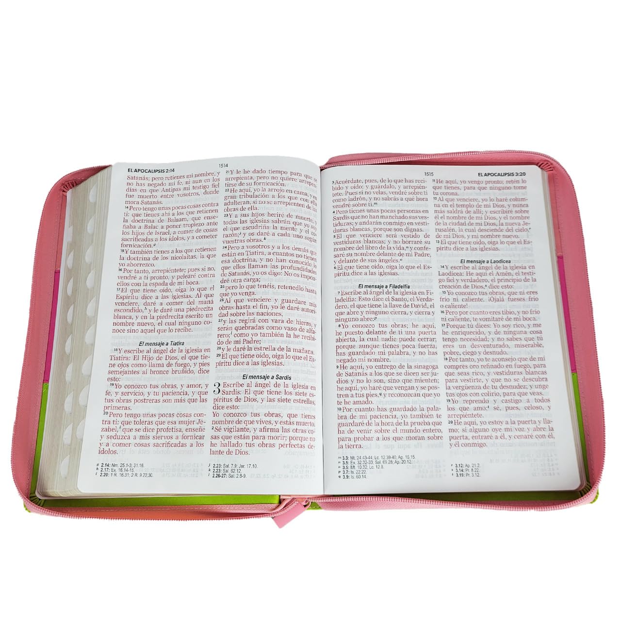 Biblia Reina Valera 1960 – 085 – Con Concordancia – Letra 14 pts – 14x21 cm – Cierre con Índice – Rosa/Fucsia/Lima