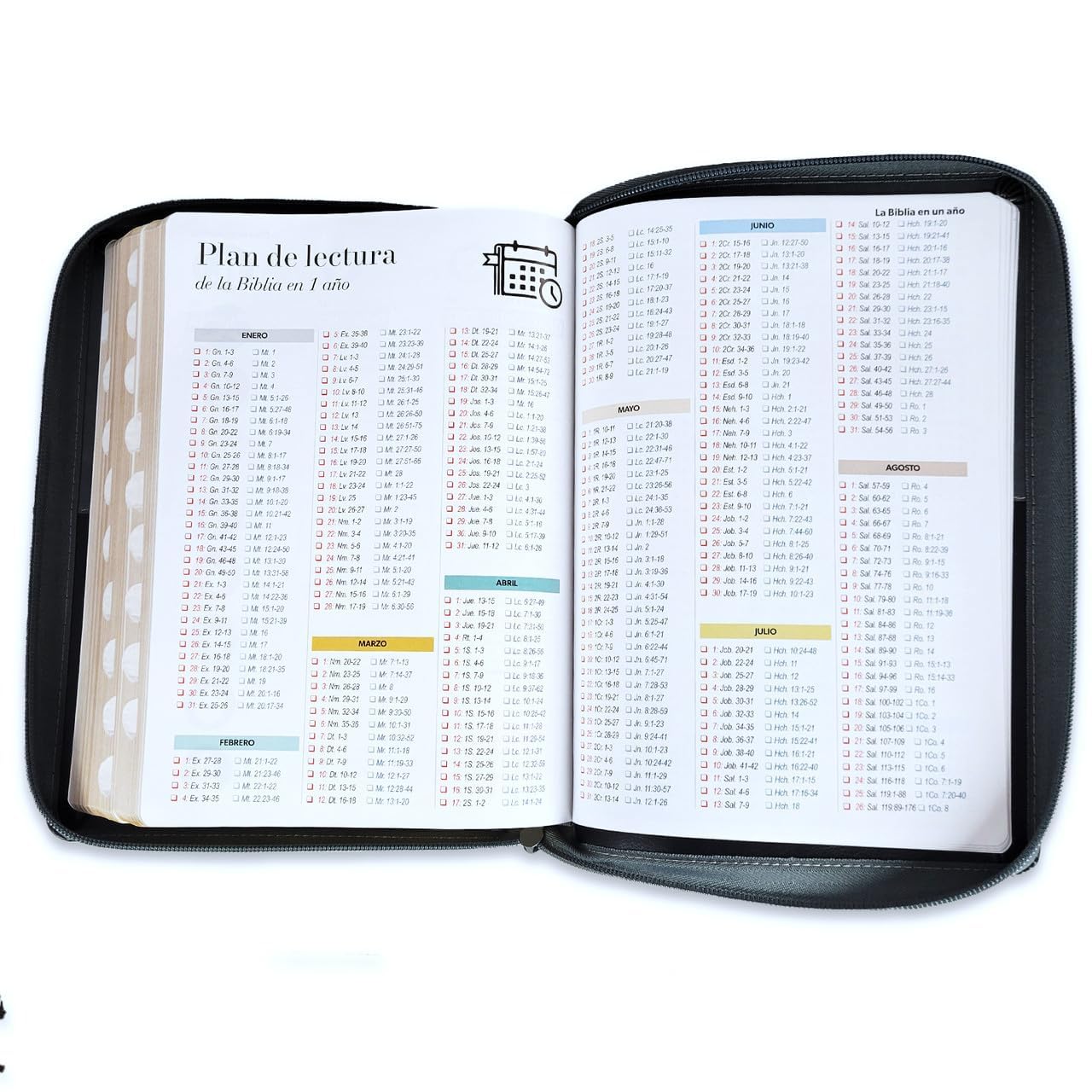 Biblia Reina Valera 1960 – 088 – Con Concordancia – Letra 19 pts – 16x23 cm – Cierre con Índice – Café
