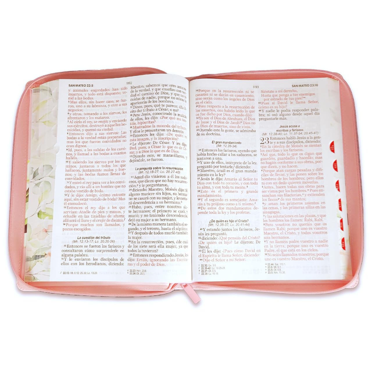 Biblia Reina Valera 1960 – 085 – Con Concordancia – Letra 15 pts – 19x25 cm – Cierre con Índice – Flores Rosa