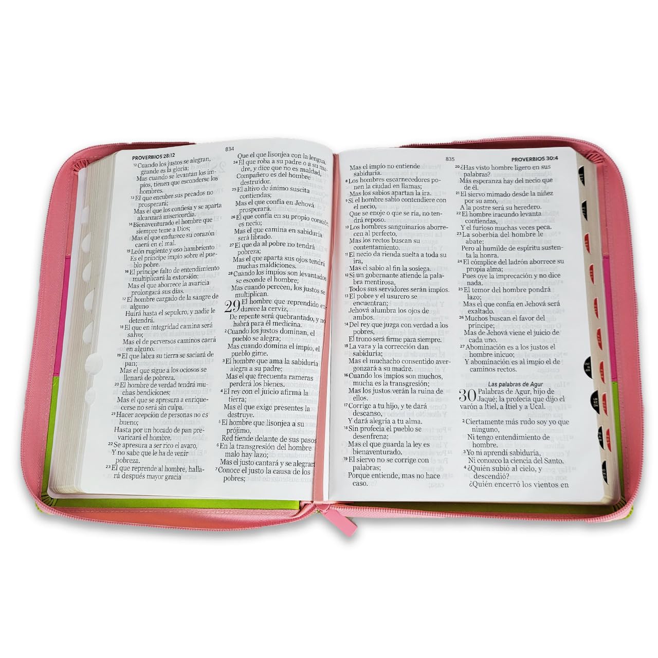 Biblia Reina Valera 1960 – 085 – Con Concordancia – Letra 14 pts – 14x21 cm – Cierre con Índice – Rosa/Fucsia/Lima