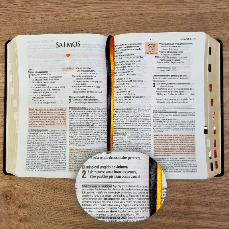 Biblia de Estudio Teológico Reina Valera 1960 – Tapa Piel Genuina Negra, Concordancia, con Índice, 17 x 24 cm, Letra 10 Puntos