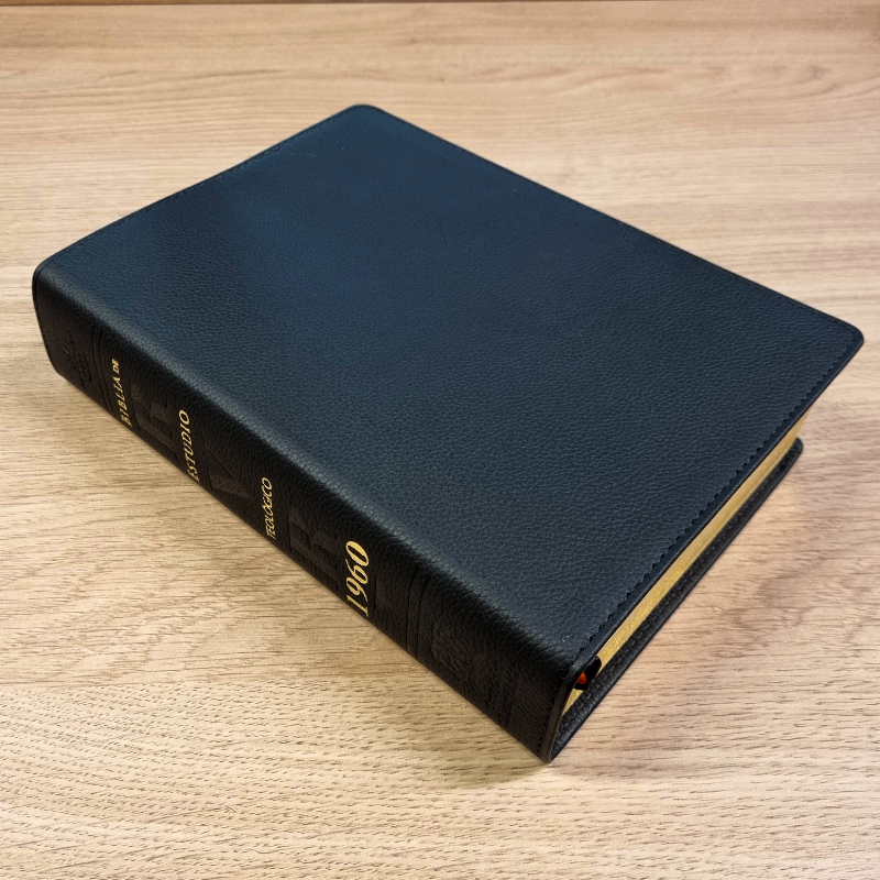 Biblia de Estudio Teológico Reina Valera 1960 – Tapa Piel Genuina Negra, Concordancia, con Índice, 17 x 24 cm, Letra 10 Puntos
