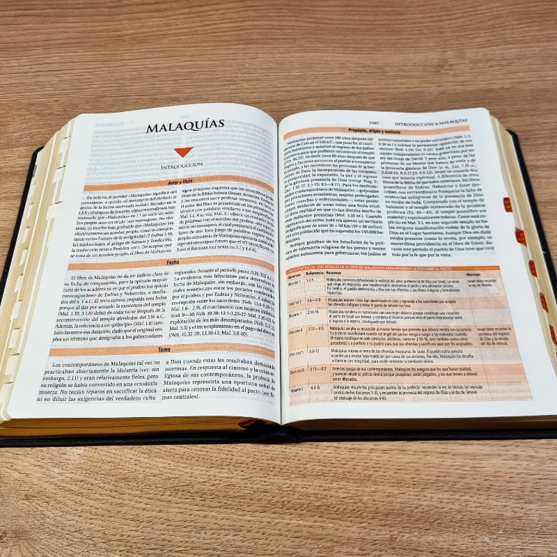 Biblia de Estudio Teológico Reina Valera 1960 – Tapa Piel Genuina Negra, Concordancia, con Índice, 17 x 24 cm, Letra 10 Puntos