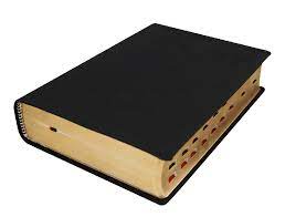 Biblia de Estudio Teológico Reina Valera 1960 – Tapa Piel Genuina Negra, Concordancia, con Índice, 17 x 24 cm, Letra 10 Puntos