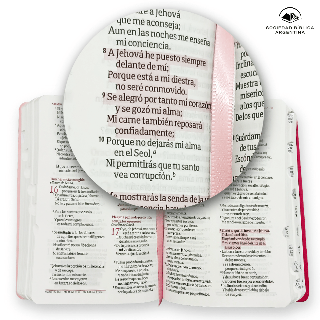 Biblia Reina Valera 1960 – Tapa Imitación Piel Promesas Rosa, Concordancia, con Índice, 12 x 17 cm, Letra 8 Puntos