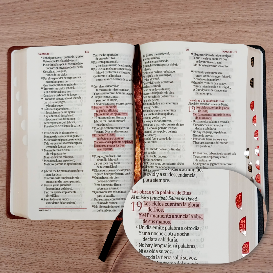 Biblia Mediana Fuente De Bendiciones Reina Valera 1960