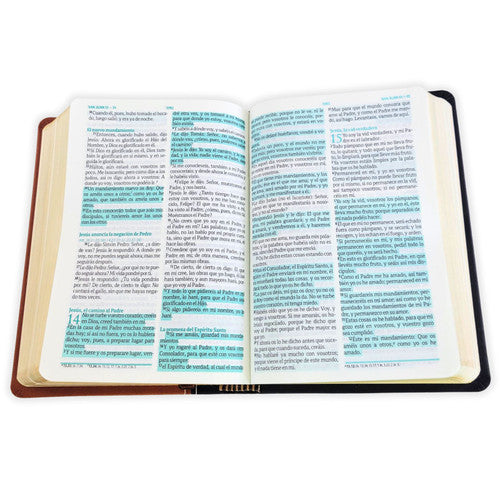 Biblia Mediana Fuente De Bendiciones Reina Valera 1960