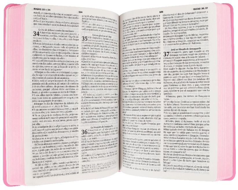 BIBLIA RVR60 CONCORDANCIA ROSA PIEL TAPA FINA