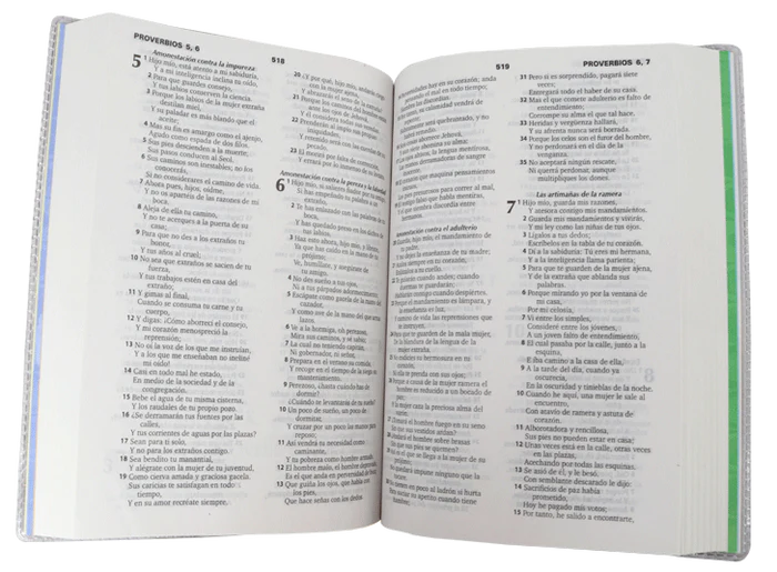 Biblia Para Niños Mig Y Meg Rosa Reina Valera 1960