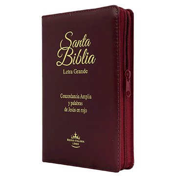 Biblia Reina Valera 1960 Letra Grande Concordancia Cierre Indice Bordo Tapa Fina