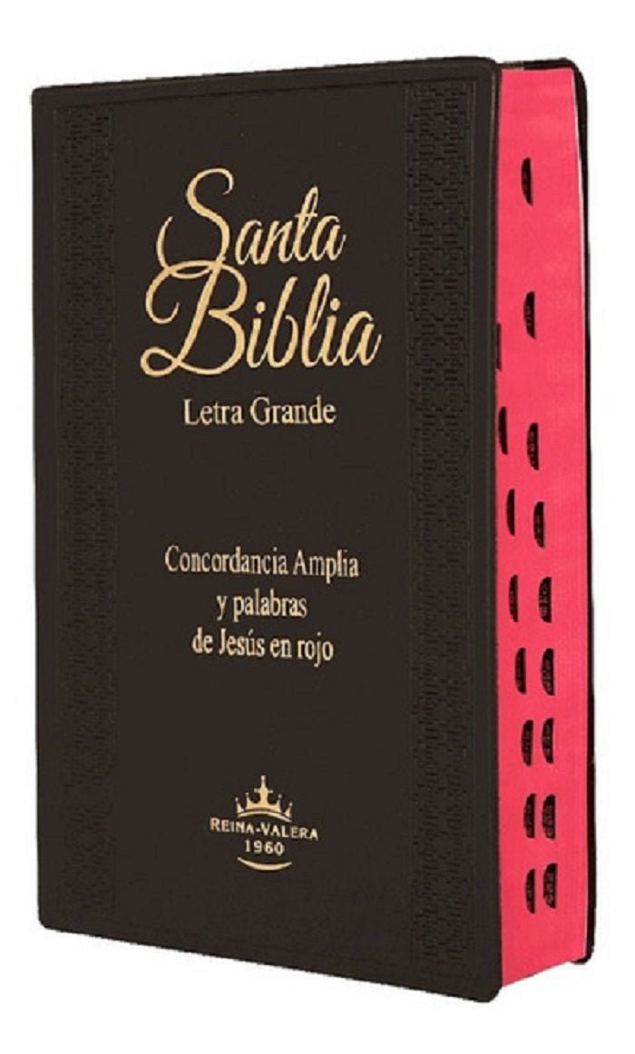 Biblia Reina Valera 1960 – Tapa Vinilo Negro Canto Rojo, Concordancia, Palabras de Jesús en Rojo, con Índice, 14 x 21 cm, Letra 12 Puntos