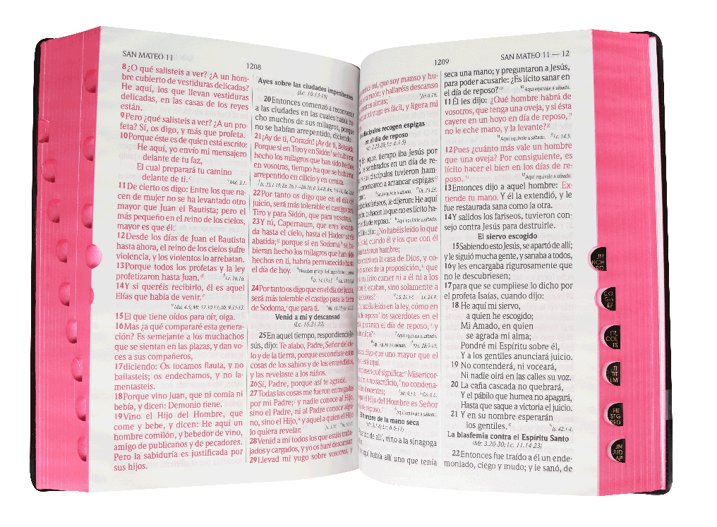 Biblia Reina Valera 1960 – Tapa Vinilo Negro Canto Rojo, Concordancia, Palabras de Jesús en Rojo, con Índice, 14 x 21 cm, Letra 12 Puntos