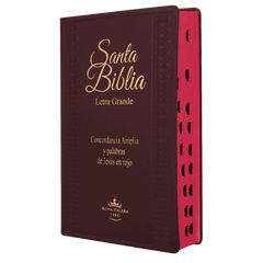 Biblia Reina Valera 1960 Letra Grande Bordo Flexible