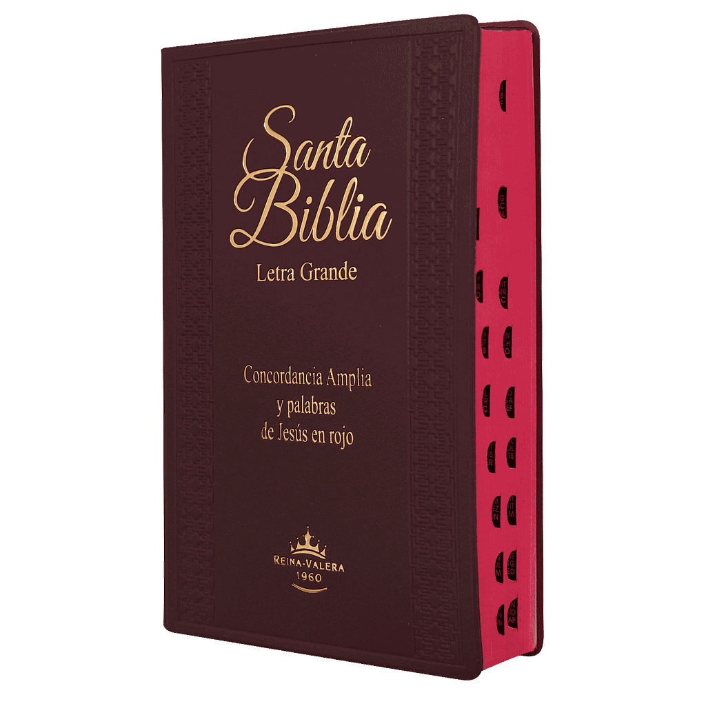 Biblia Reina Valera 1960 Letra Grande Bordo Flexible