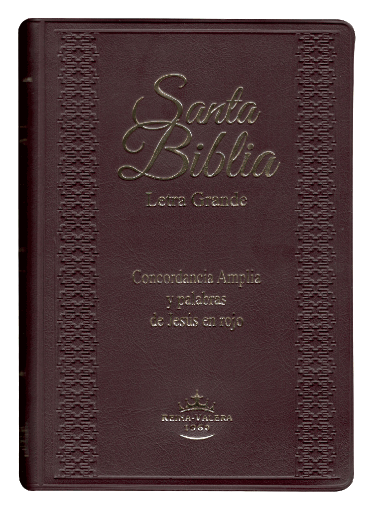 Biblia Reina Valera 1960 Letra Grande Bordo Flexible