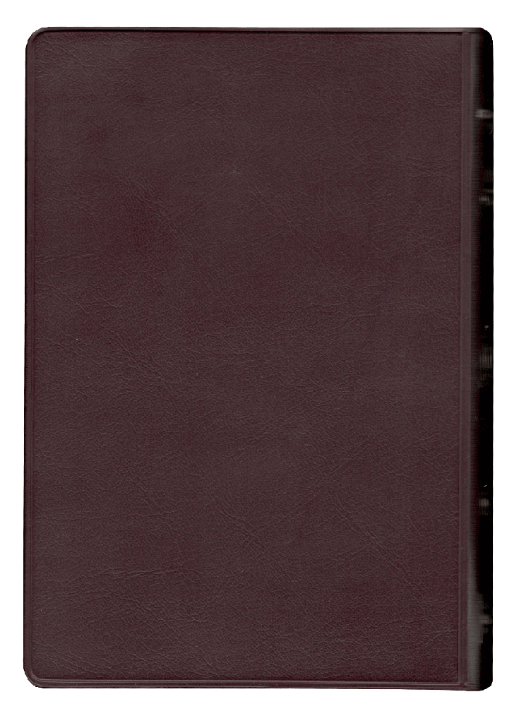 Biblia Reina Valera 1960 Letra Grande Bordo Flexible