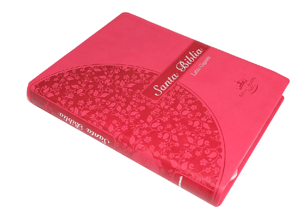 Biblia Reina Valera 1960 Letra Gigante Rosa Flores Pjr