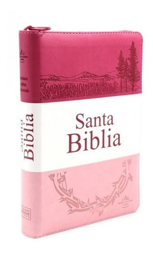 Biblia Reina Valera 1960 Letra Grande Cierre Indice Concordancia Tapa Pu Tritono Rosa