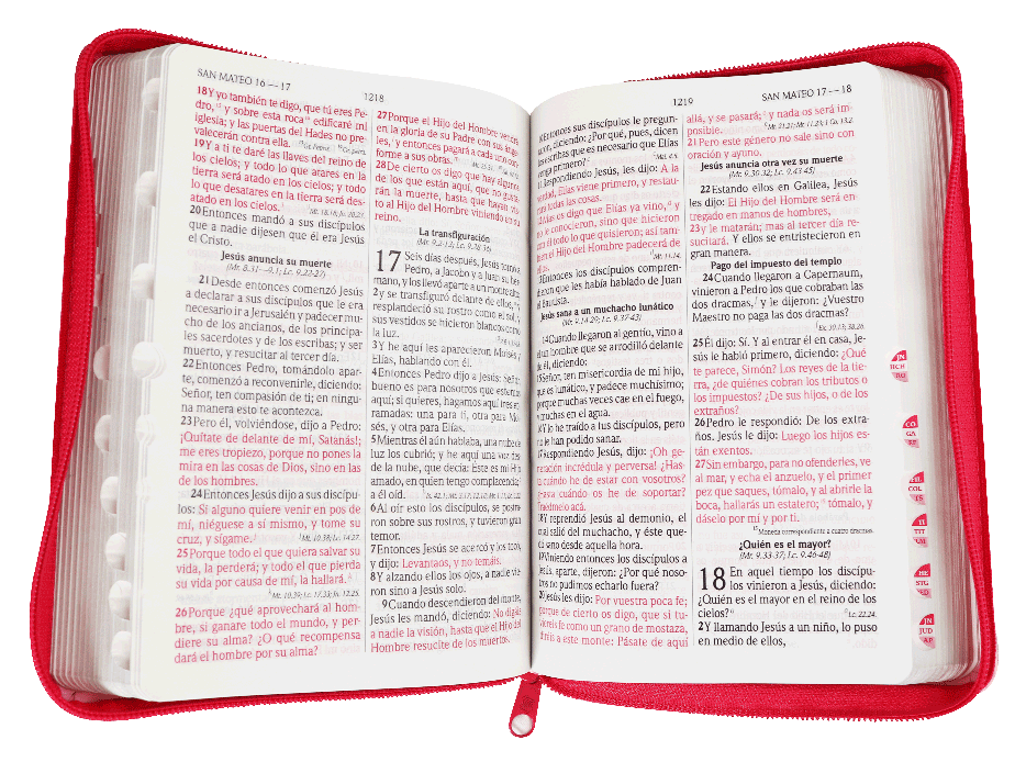 Biblia Reina Valera 1960 Letra Grande Cierre Indice Concordancia Tapa Pu Tritono Rosa