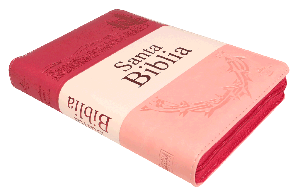 Biblia Reina Valera 1960 Letra Grande Cierre Indice Concordancia Tapa Pu Tritono Rosa