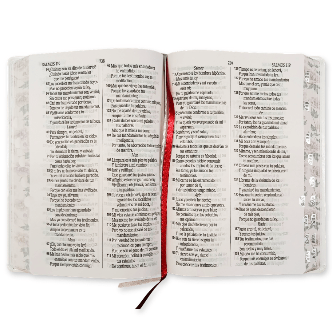 Biblia Reina Valera 1960 – Tapa Imitación Piel Blanco Canto Floreado, Concordancia, Palabras de Jesús en Rojo, con Índice, 14 x 22 cm, Letra 12 Puntos