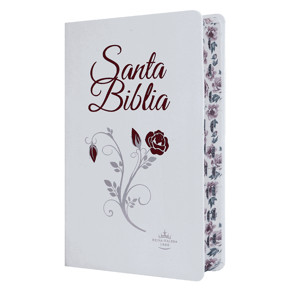 Biblia Letra Grande índice Blanca Flores Reina Valera 1960