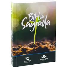 Biblia Reina Valera 1960 Misionera Brote Tapa Cartulina