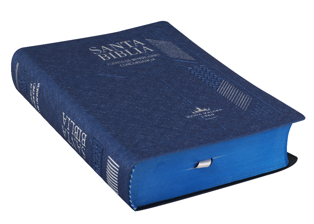 Biblia Reina Valera 1960 Mediana Promesas Concordancia Indice Vinil Azul