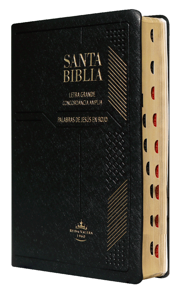 Biblia Reina Valera 1960 Letra Grande Índice Negra Concordancia