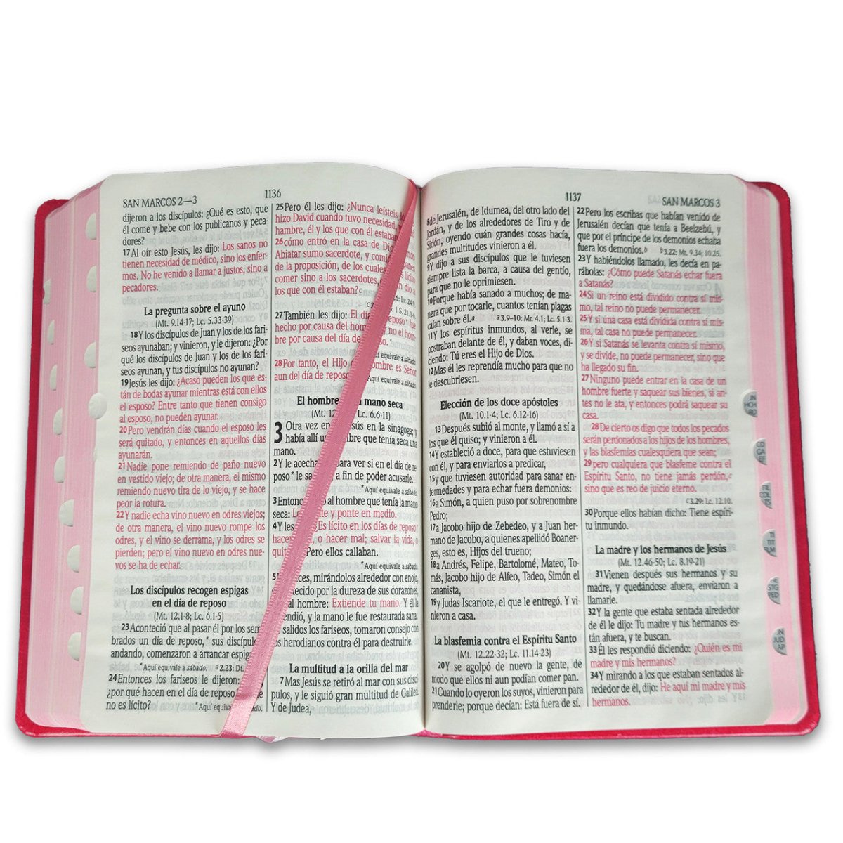 Biblia Reina Valera 1960 – Tapa Imitación Piel Mariposa Rosa, con Cierre, Concordancia, Palabras de Jesús en Rojo, con Índice, 14 x 22 cm, Letra 12 Puntos
