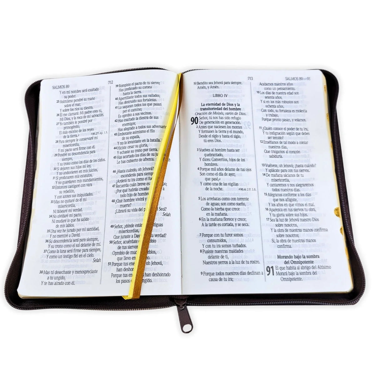 Biblia Reina Valera 1960 – Tapa Imitación Piel León Marrón, con Cierre, Concordancia, Palabras de Jesús en Rojo, con Índice, 14 x 22 cm, Letra 12 Puntos