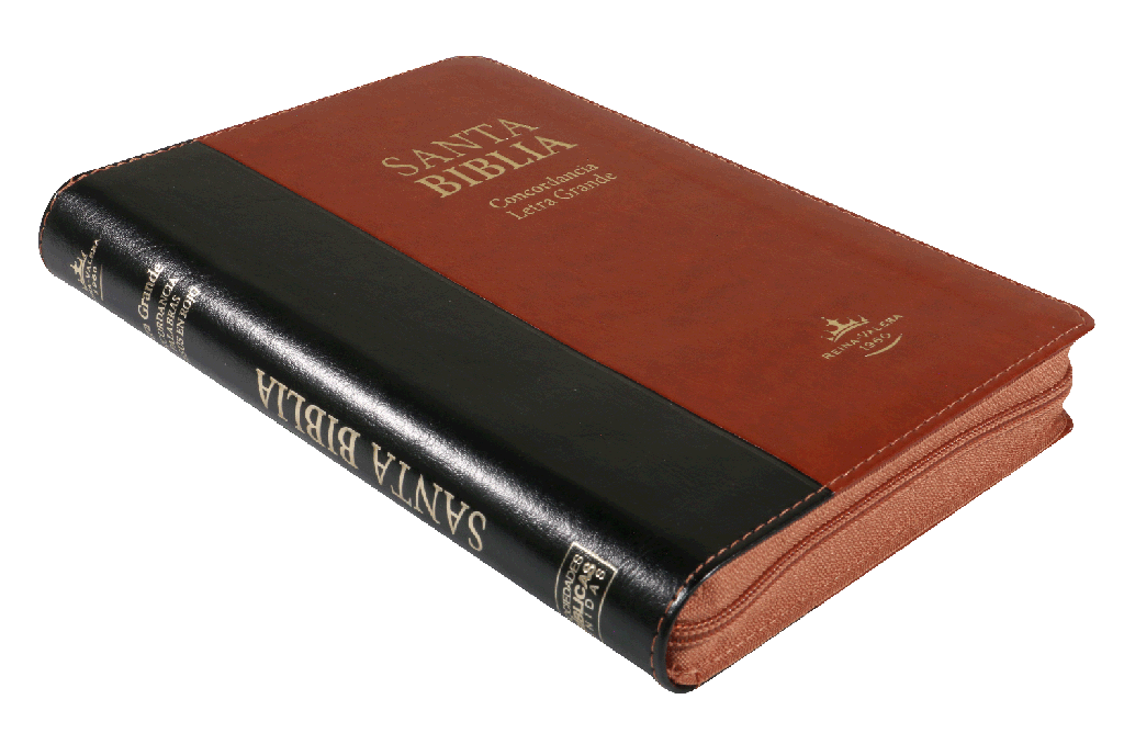 Biblia Reina Valera 1960 Letra Grande Cierre Concordancia PJR Indice Tapa Pu Negro marrón