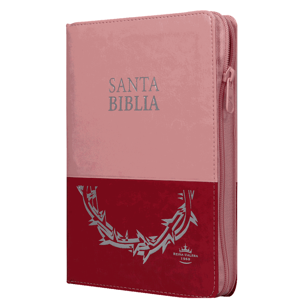 Biblia Reina Valera 1960 Letra Grande Pjr Cierre Dos Tonos