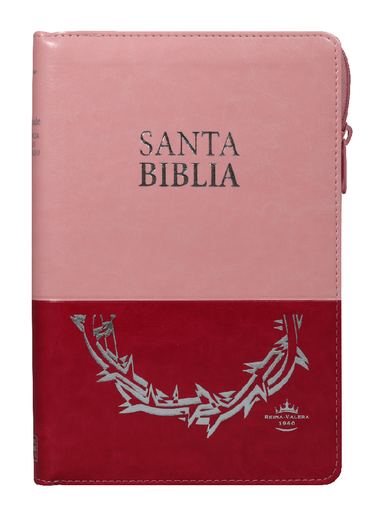 Biblia Reina Valera 1960 – Tapa Imitación Piel Rosa y Púrpura, con Cierre, Concordancia, Palabras de Jesús en Rojo, con Índice, 14 x 22 cm, Letra 12 Puntos