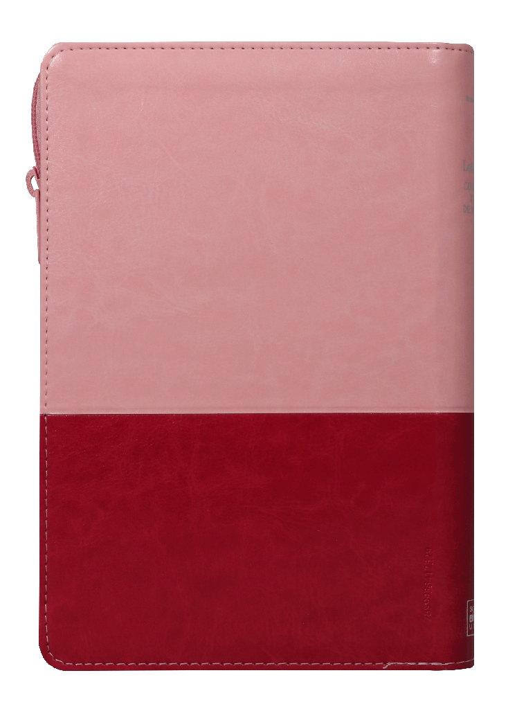 Biblia Reina Valera 1960 – Tapa Imitación Piel Rosa y Púrpura, con Cierre, Concordancia, Palabras de Jesús en Rojo, con Índice, 14 x 22 cm, Letra 12 Puntos