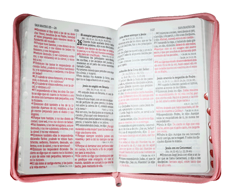 Biblia Reina Valera 1960 – Tapa Imitación Piel Rosa y Púrpura, con Cierre, Concordancia, Palabras de Jesús en Rojo, con Índice, 14 x 22 cm, Letra 12 Puntos